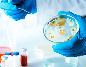 Best PhD college